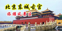 男女性爱免费看逼逼bbbbbbb中国北京-东城古宫旅游风景区
